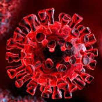 علائم، راه‌های پیشگیری و درمان ویروس کرونا 