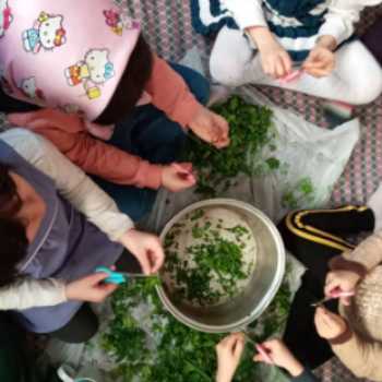 تجربه پختن کوکو سبزی در مدرسه