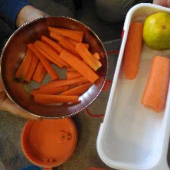 تغذیه(هویج)