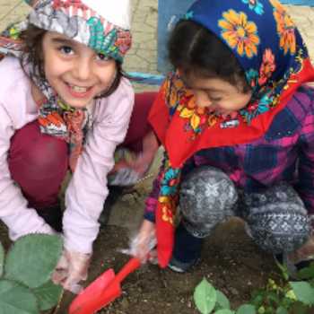 سبزی کاری در باغچه های مدرسه