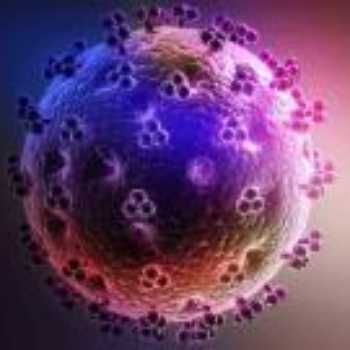 ویروس کرونا چیست؟ علائم بیماری، نحوه انتقال و چگونگی شیوع آن 