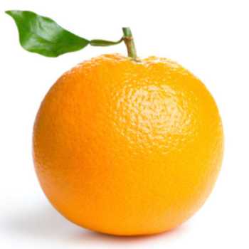 پرتقال 