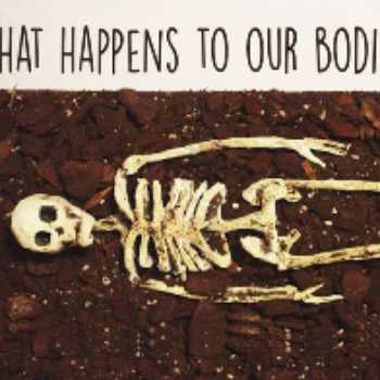 بعد از مرگ چه اتفاقاتی برای بدن ما می افتد ؟ 
