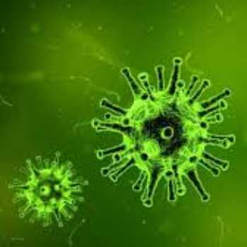ویروس جدیدی که کشورهای زیادی را درگیرکرده 