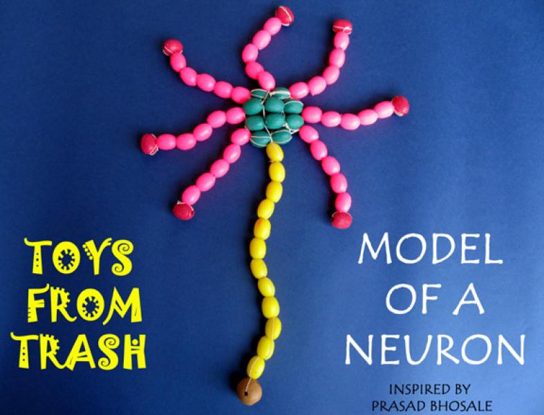مدلی از یک عصب (نرون)  ، اثر پارساد بهوسال