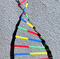 (مارپیچ دی ان آ     Straw-Tape Fix DNA Helix   