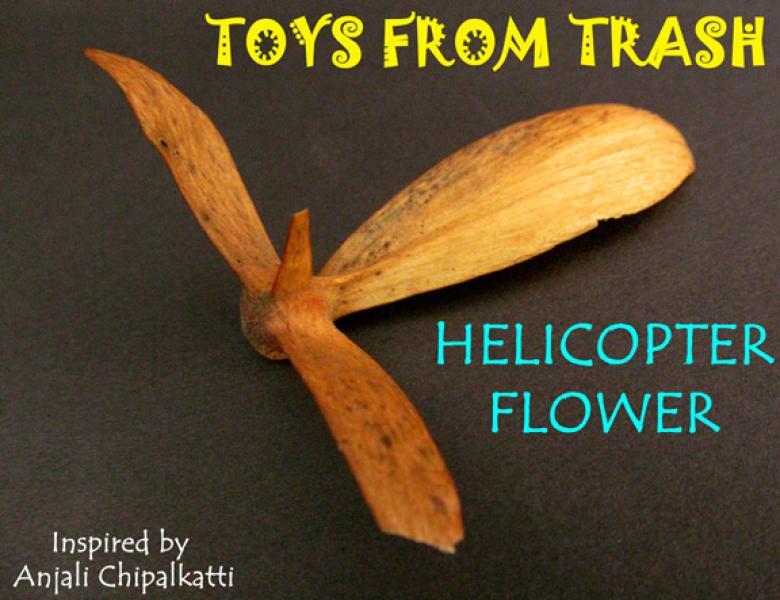 گل هلیکوپتری، ارائه شده توسط:  آنجالی چیپالکاتی. 