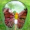 (پروانه در حباب)Butterfly In Bulb