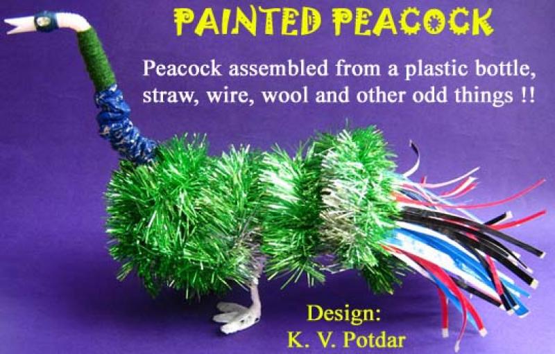 طاووس نر رنگ شده ،  طراح: کی  وی  پوتدار