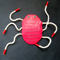 Whirligig Beetle(سوسک فرفره ای )